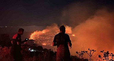 İzmir'in kuzeyinde orman yangını alarmı
