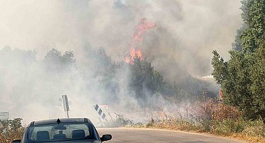 İznik'te korkutan yangın