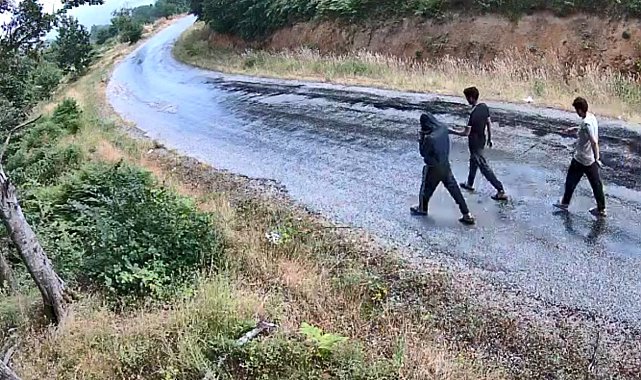 Jandarmanın fotokapanlarıyla 1 yılda bin 847 şüpheli yakalandı
