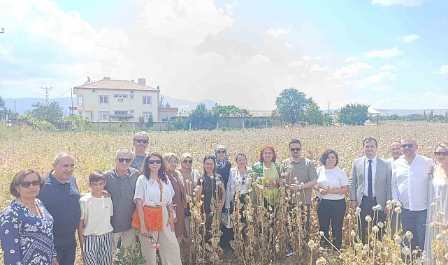 Kadın girişimciler Kuşadası'ndan Isparta'ya gidip haşhaş hasadı yaptı