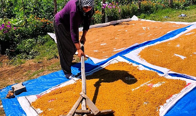 Kahramanmaraş'ta kışlık telaşı