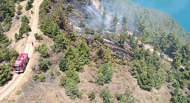 Kahramanmaraş'ta orman yangını
