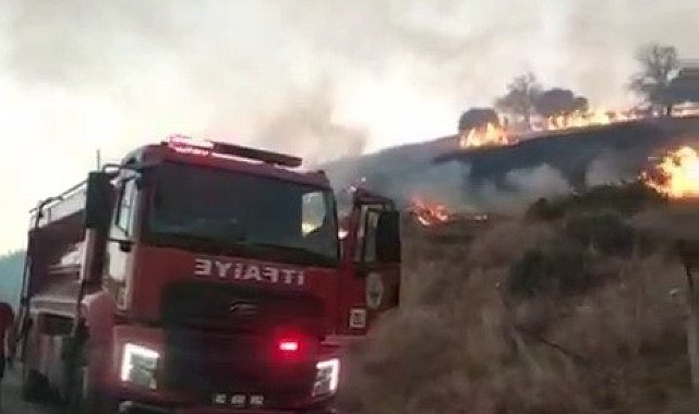 Kahta'da anız yangını köye kadar ulaştı