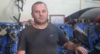 Karga ile tamircinin sıradışı dostluğu...Tamirhanede birlikte çalışıyorlar