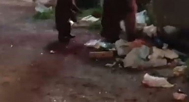 Kars'ta vatandaş ayılara türkü söyledi, o anlar sosyal medyayı salladı