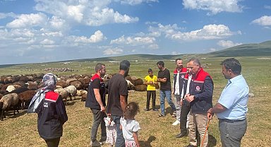 Kars'ta yaylalarda hayvancılığa yakın takip