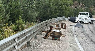 Kastamonu'da kamyonet bariyerlere çarptı: Etrafa saçılan kovandaki arılar telef oldu