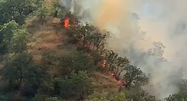 Kastamonu'da orman yangınında 40 dönümlük alan zarar gördü