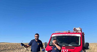 Kaymakamlık bahçesinde bulunan yılan doğaya bırakıldı