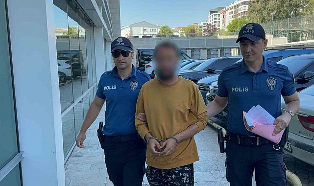 Kediye tekme atarken kameraya yansıyan şahıs yakalandı