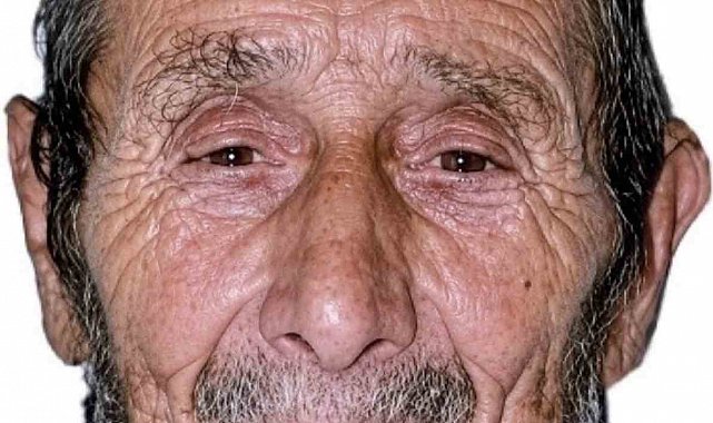 Kestiği ağacın altında kalan yaşlı adam hayatını kaybetti