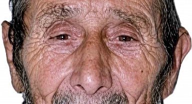 Kestiği ağacın altında kalan yaşlı adam hayatını kaybetti