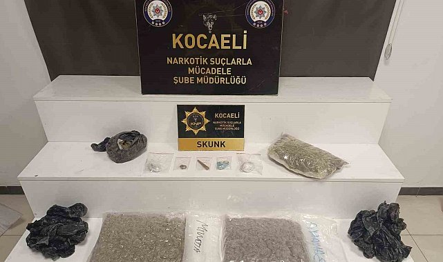 Kocaeli'de kilolarca skunk ele geçirildi