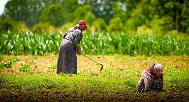 Kocaeli'de tarım ve hayvancılığa 7 yılda 1,5 milyar lirayı aşkın destek sağlandı