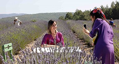 Koku Vadisi'nde Lavanta hasadı başlıyor