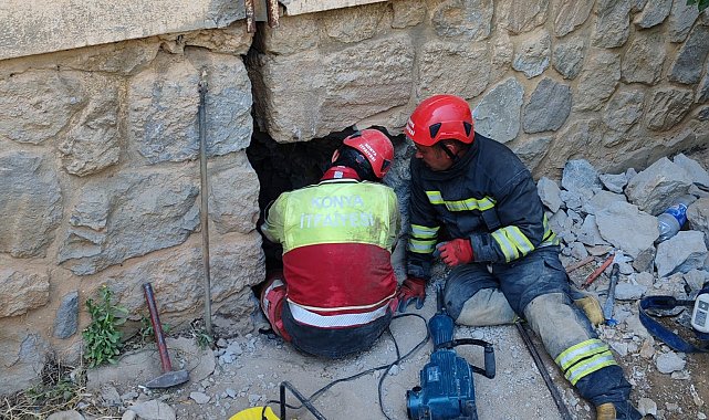 Konya'da duvar arasında kalan kediye itfaiyeden 9 saatlik kurtarma operasyonu