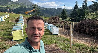 Koruma altındaki gelincik Ilgaz Dağı'nda görüntülendi