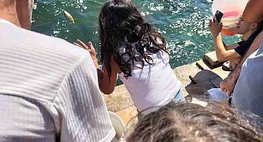 Köyceğiz Gölü'ne yavru balık bırakıldı