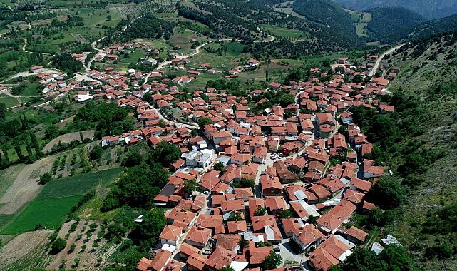 Köylülerin ürettiği peynir coğrafi işaret tescili aldı