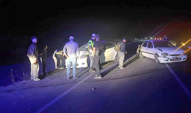 Koyun sürüsü zincirleme kazaya sebep oldu: 1'i çocuk 3 kişi yaralandı, 6 koyun telef oldu