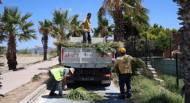Kuşadası'nda yeşil alanlarda kapsamlı bakım ve düzenleme çalışması