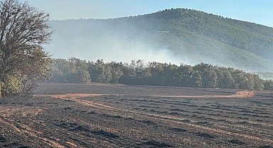 Kütahya Altıntaş'taki arazi yangını kontrol altına alındı