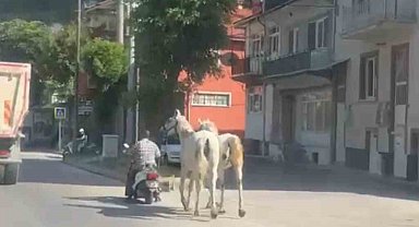 Kütahya'da atları motosikletine bağlayarak ilerleyen sürücü kameraya yansıdı