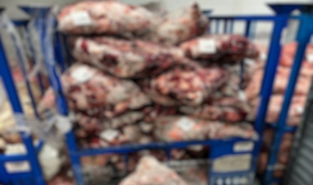 Lüleburgaz'da uygunsuz şartlarda saklanan 4 ton 600 kilo ete el konuldu