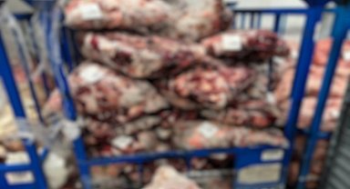 Lüleburgaz'da uygunsuz şartlarda saklanan 4 ton 600 kilo ete el konuldu