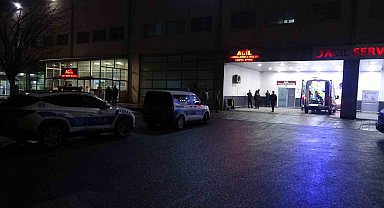 Malatya'da "dut ağacı" kavgasında 2 tutuklama