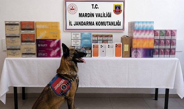 Mardin'de kaçak tütün operasyonunda 2 gözaltı