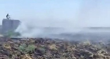 Mardin'deki anız yangını kontrol altına alındı