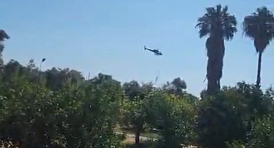 Marmaris'te zirai alan yangını kontrol altında
