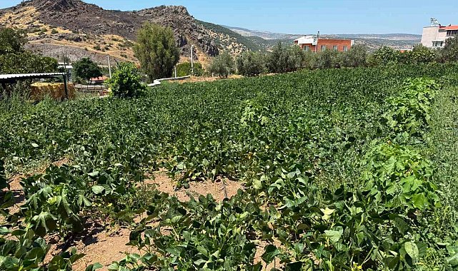 Menemen'de su hasreti çeken Ayvacık köyüne asırlık hizmet