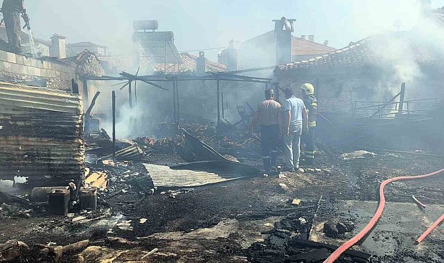 Menteşe'de evde çıkan yangında yaşlı adam hayatını kaybetti