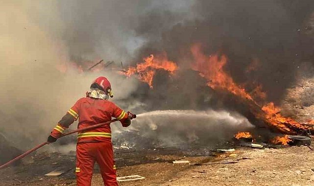Menteşe'de korkutan araç yangını: Otomobil küle döndü