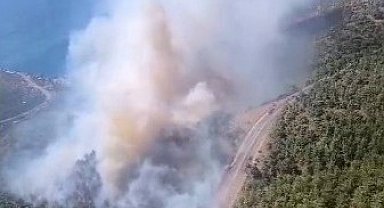 Mersin'de orman yangını: Ekipler havadan ve karadan müdahale ediyor