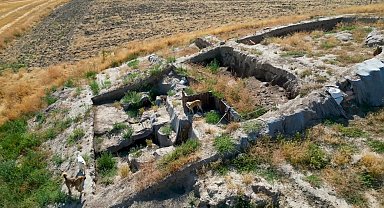 Milattan Önce 2000'li yıllara ait kazı alanı sokak köpeklerinin meskeni haline geldi