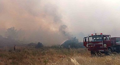 Muğla Menteşe'de orman yangını