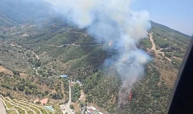 Narlıdere'deki orman yangını kontrol altında