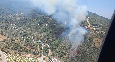 Narlıdere'deki orman yangınına havadan ve karadan müdahale