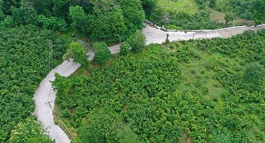 Ordu'da beton yol çalışmaları