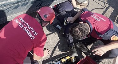 Ordu'da otomobilin egzoz muhafazasına sıkışan yavru kedi kurtarıldı