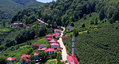 Ordu'nun kırsalında beton yol çalışmaları