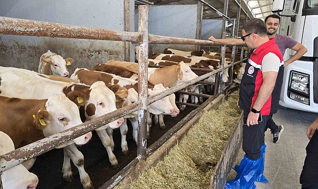 Orhaneli'de hayvan yetiştiren işletmeler kontrol edildi