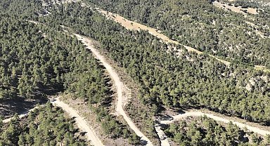 Orman köylülerine endüstriyel odundan 1 milyar TL'lik katkı