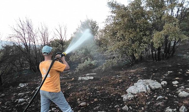 Orman yangını korkuttu