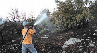 Orman yangını korkuttu