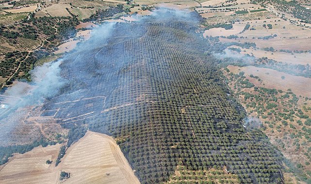 Ormanlık alanda yangın: 15 hektar alan küle döndü