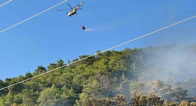 Ortaca'daki orman yangını kontrol altına alındı